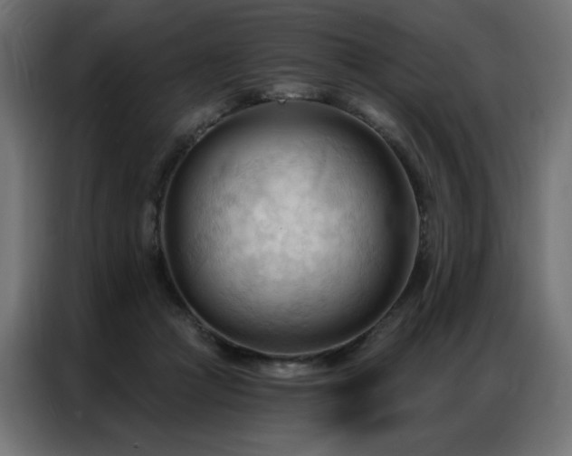 X0000086900361200704161323
