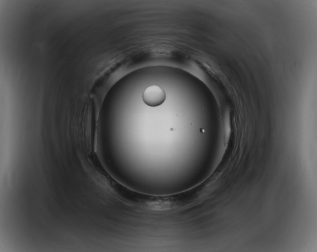 X0000086900362200704161323