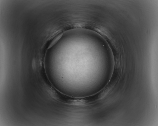 X0000086900363200704161323