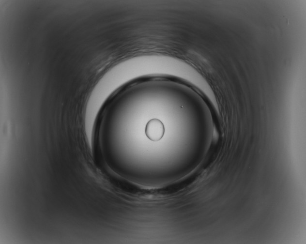 X0000086900364200704161323