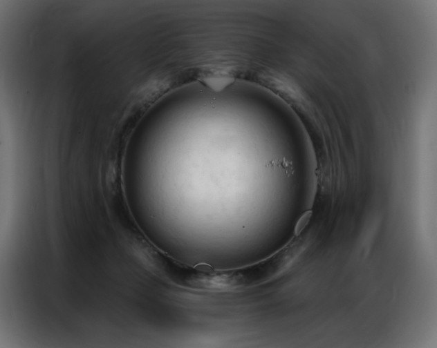 X0000086900365200704161323