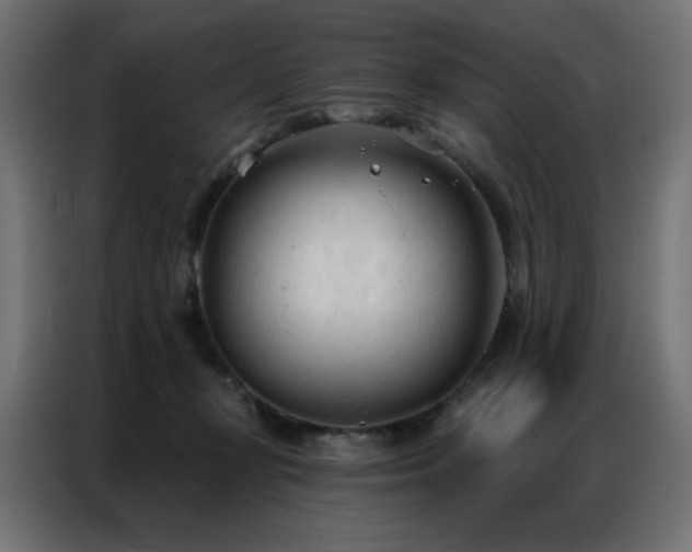 X0000086900367200704161323