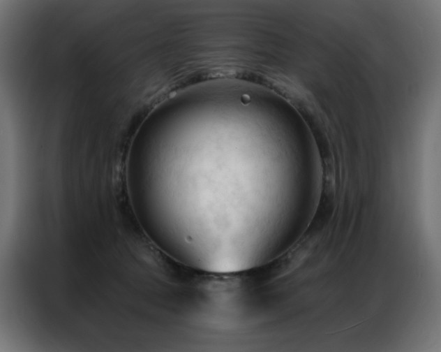 X0000086900369200704161323