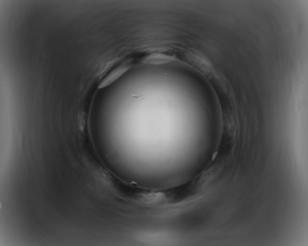 X0000086900374200704161323