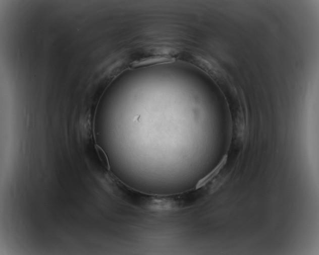 X0000086900376200704161323
