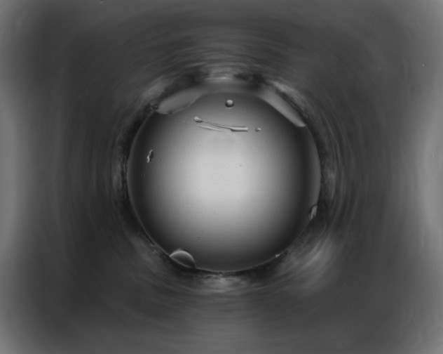 X0000086900379200704161323