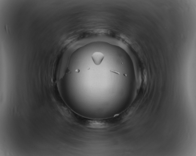X0000086900380200704161323