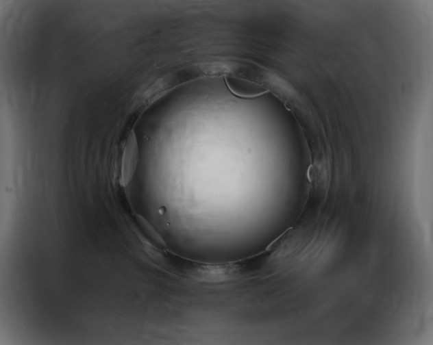 X0000086900381200704161323