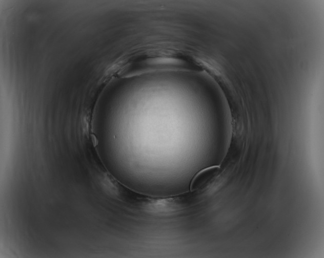 X0000086900382200704161323