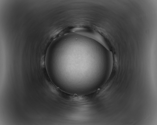 X0000086900383200704161323