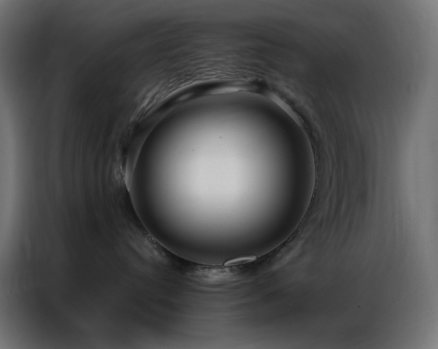 X0000086900384200704161323