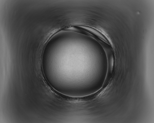 X0000086900385200704161323