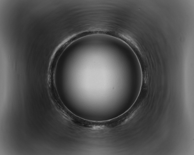 X0000086900388200704161323