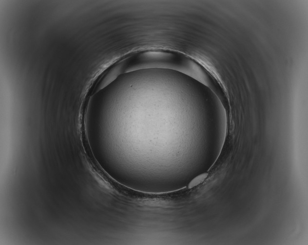 X0000086900389200704161323