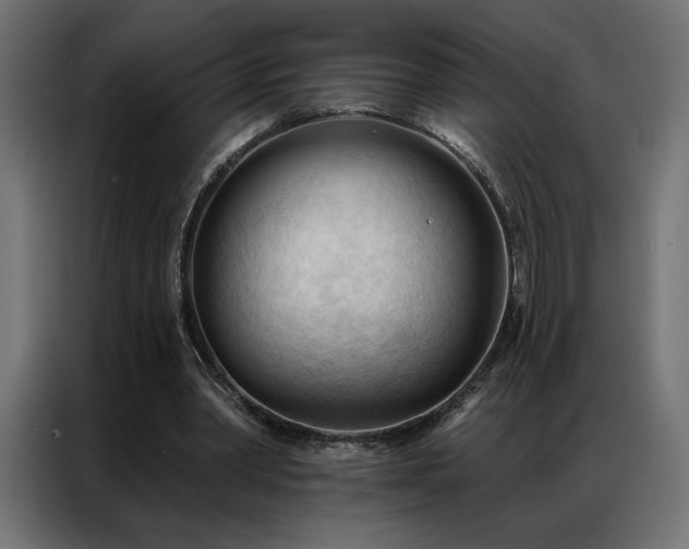 X0000086900390200704161323