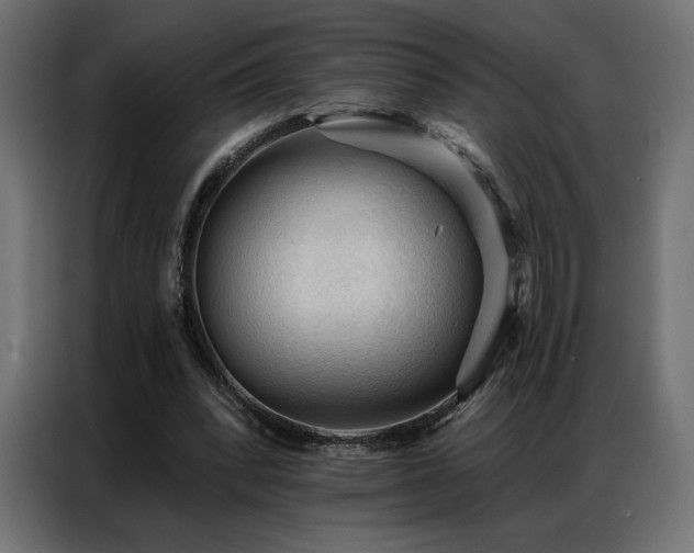 X0000086900392200704161323