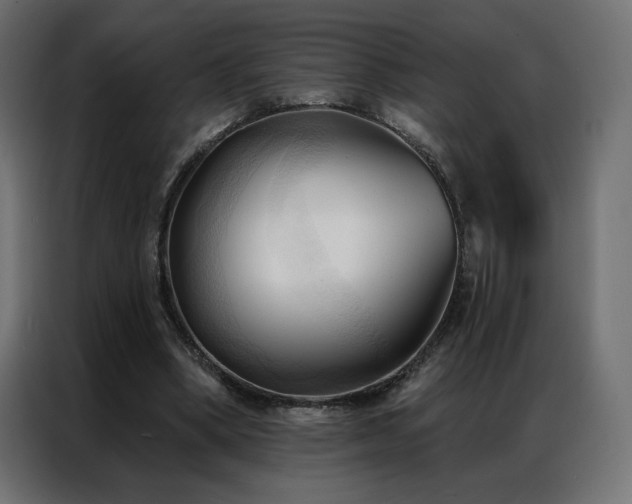 X0000086900394200704161322