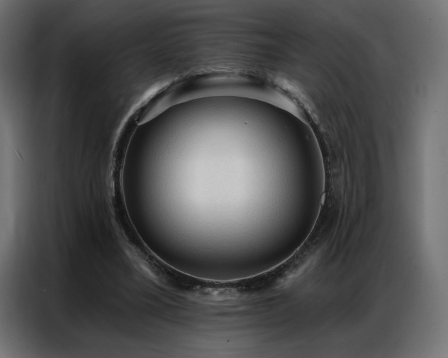 X0000086900395200704161322