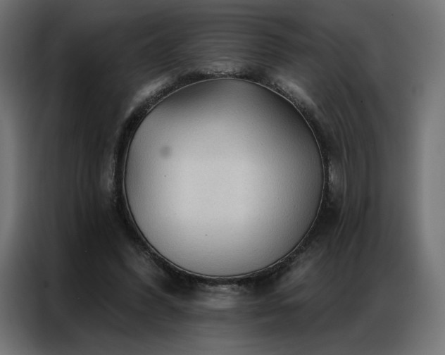 X0000086900396200704161322