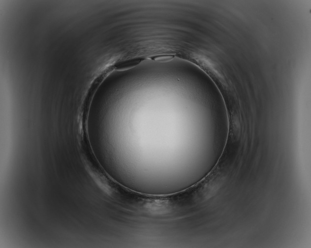 X0000086900398200704161322