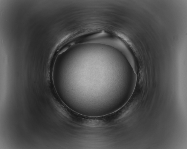 X0000086900399200704161322