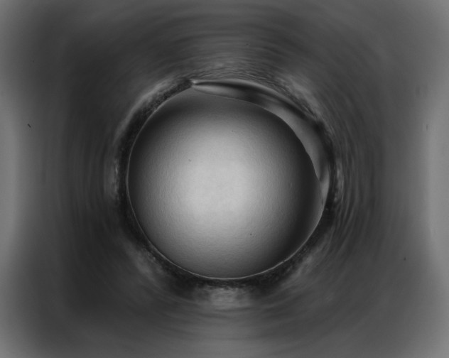 X0000086900400200704161322