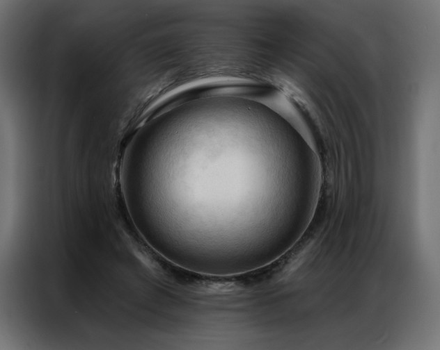 X0000086900401200704161322