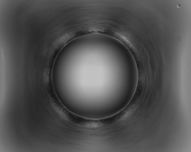 X0000086900402200704161322