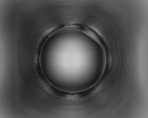 X0000086900403200704161322