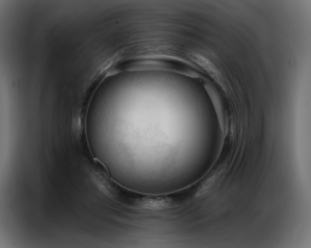 X0000086900405200704161322