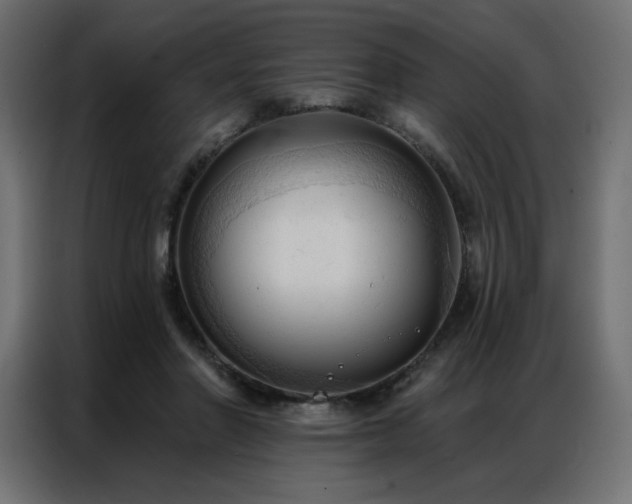 X0000086900406200704161322