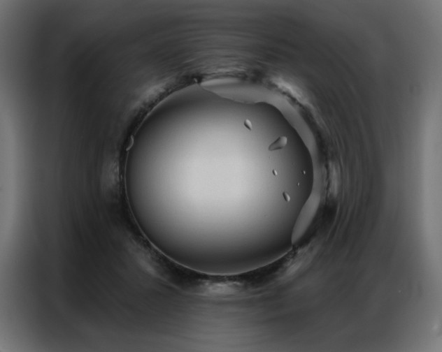 X0000086900407200704161322