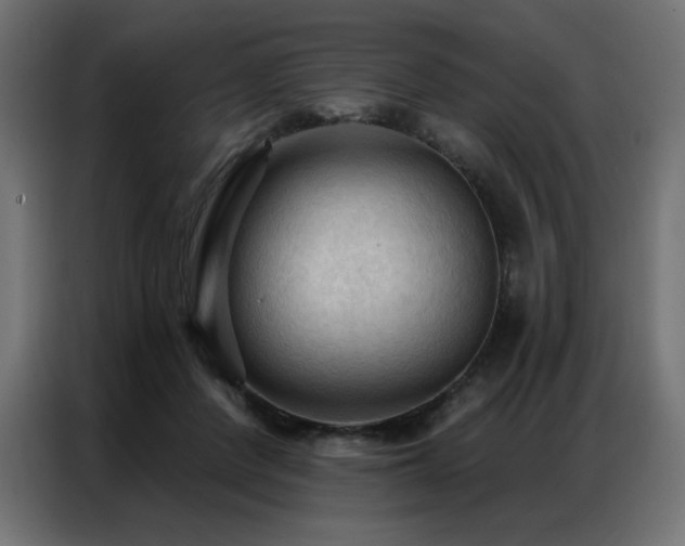 X0000086900408200704161322