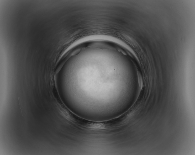 X0000086900409200704161322