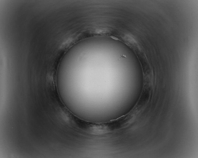 X0000086900415200704161322