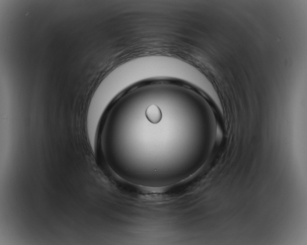 X0000086900417200704161322