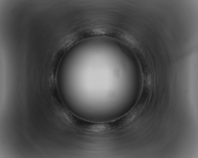 X0000086900418200704161322