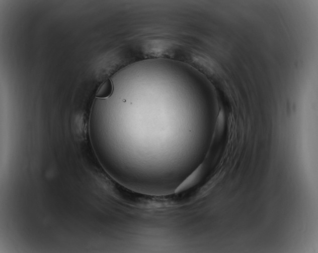 X0000086900420200704161322
