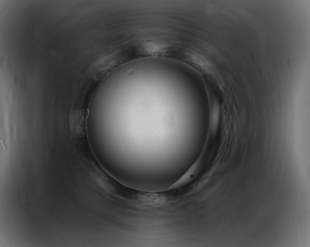 X0000086900421200704161322