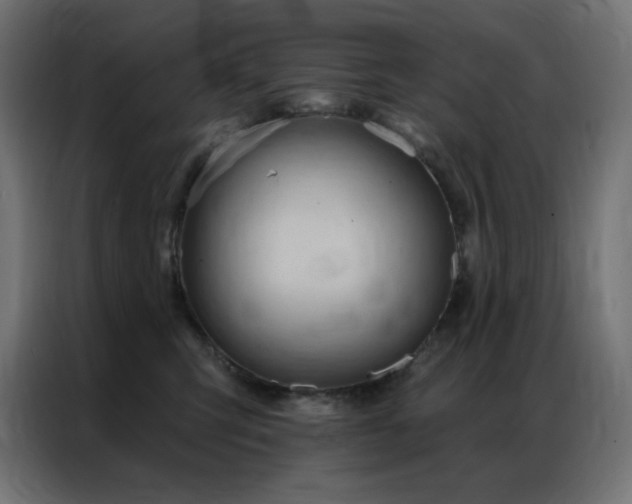 X0000086900423200704161322
