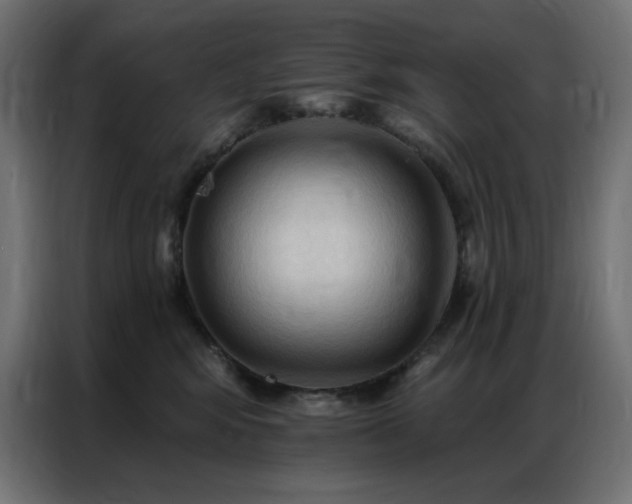 X0000086900424200704161322