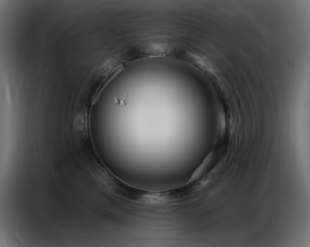 X0000086900425200704161322