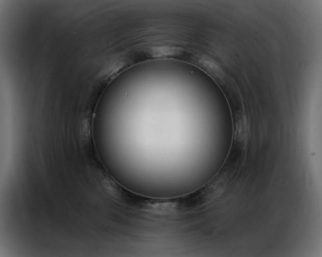 X0000086900426200704161322
