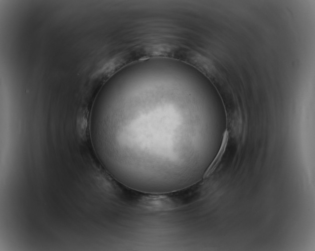 X0000086900427200704161322