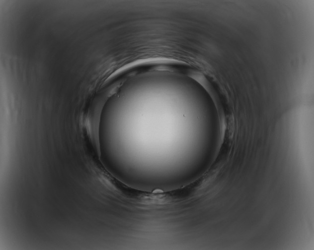 X0000086900428200704161322