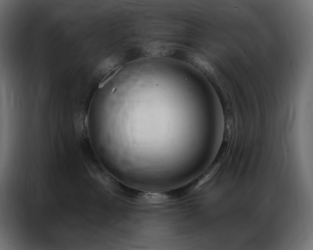 X0000086900429200704161322