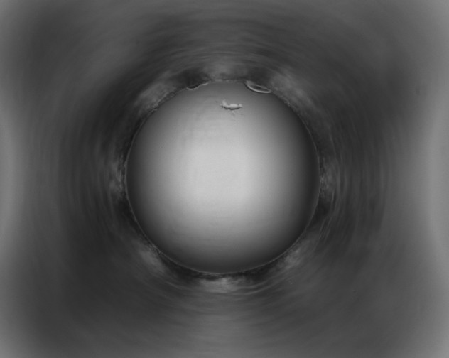 X0000086900430200704161322