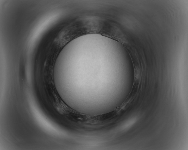 X0000086900431200704161322