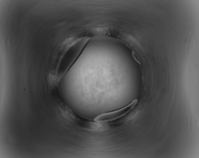 X0000086900432200704161322