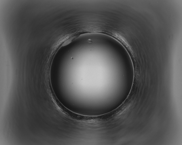 X0000086900433200704161321